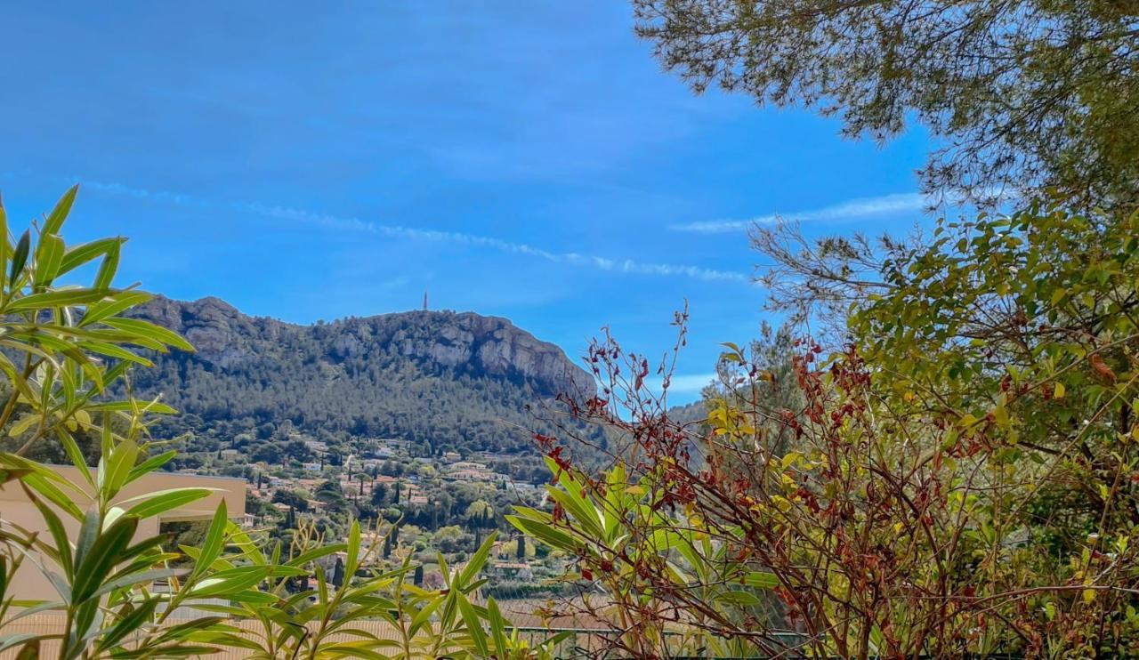 Jardin Prive Ds Le Centre De Cassis - Parking - Plage A 500M Eksteriør billede