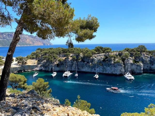Jardin Prive Ds Le Centre De Cassis - Parking - Plage A 500M Eksteriør billede